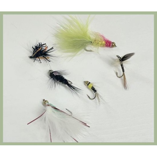 trout flies multi packs fly fishing - Troutflies UK