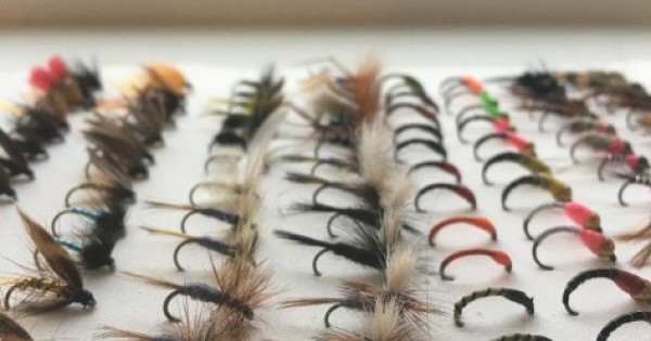 https://www.troutflies.co.uk/image/cache/catalog/%20ALL%20NEW%20PICS/1%20Multi%20Packs/BARBLESS%20PACK%202-500x500-600x315w.jpg