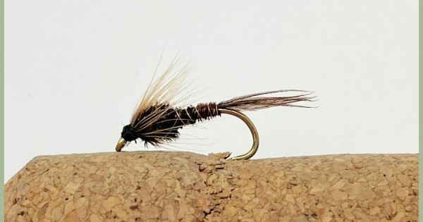 Orange Hot Head Frenchie. Barbless Tungsten Beaded Pheasant Tail Euro Nymph  Fishing Fly. Tight Line Nymph. Fly Angling Gift. -  UK