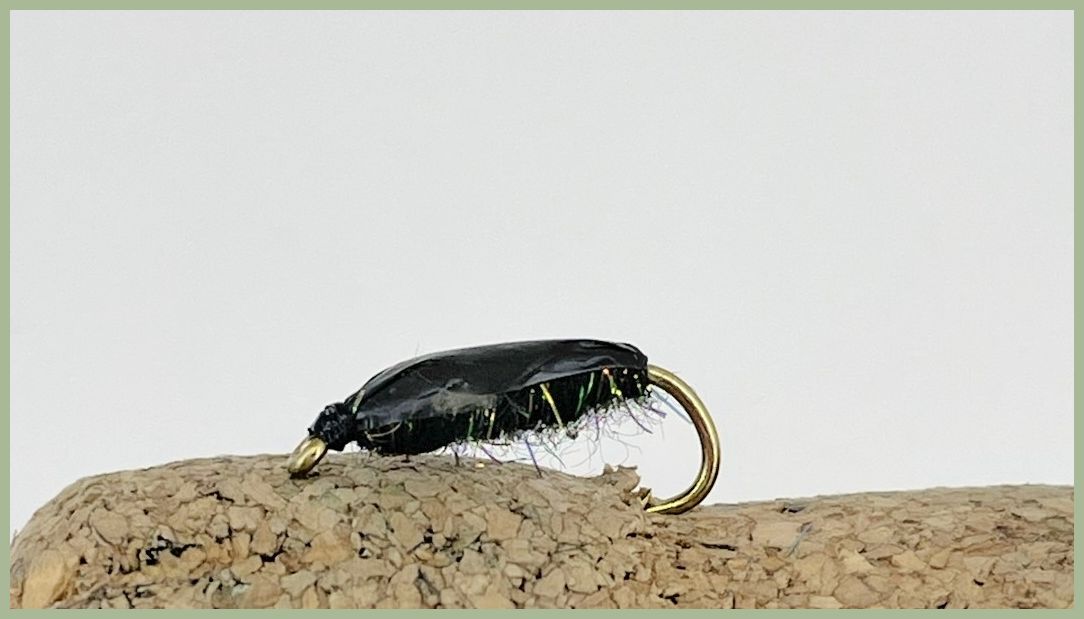 Fishing with the Coch y bonddu beetle & its connections with