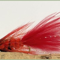 Red Woolly Bugger - Troutflies UK