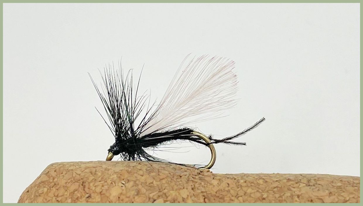  Fly Fishing Flies by Colorado Fly Supply - Drowned Ant