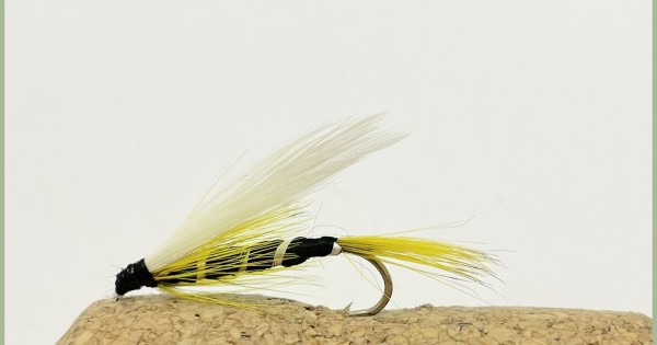 Muddler Minnows Fly - These Patterns are Deadly Trout Fry Imitating Flies