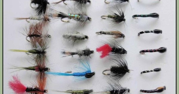 mixed trout fishing flies nymphs wet buzzers - Troutflies UK