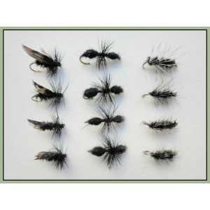 Black gnat dry trout fishing fly - Troutflies UK